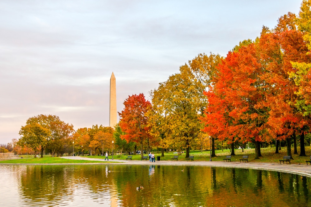 10 BEST Things to do in Washington DC This Fall!